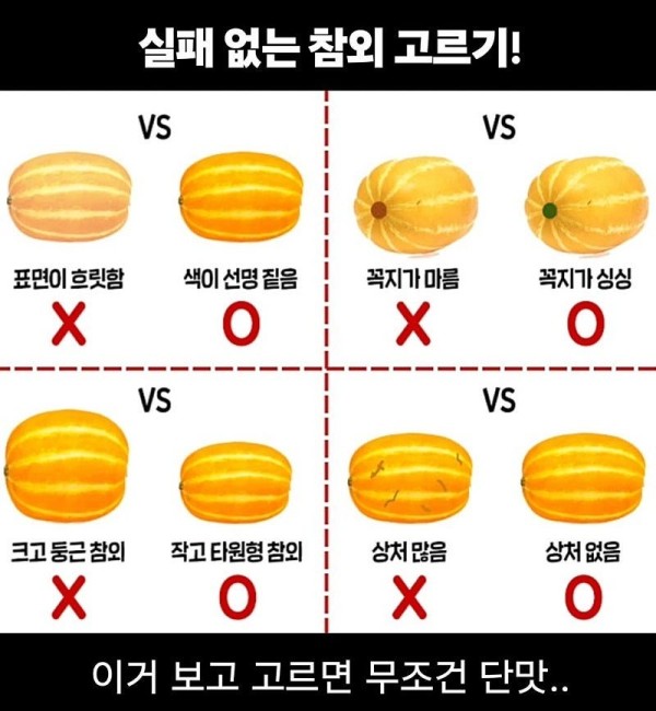 실패 없는 참외 수박 고르기