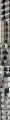 20250418222940_bfnAdvlIXe.webp
