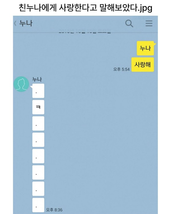 누나한테 사랑한다고 해보았댜